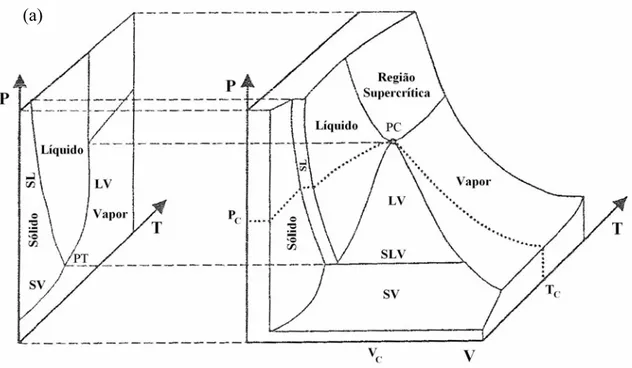 Figura 2.5: Equilíbrio de fases para uma substância pura: a) Projeção no plano P × T;               b) Projeção no plano P × V (adaptado de Rovetto, 2004) 