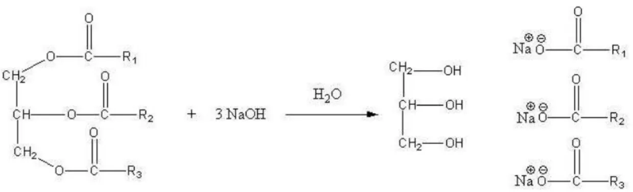 Figura 3.13. Reação química entre um ácido graxo e uma base forte (NaOH)  (OLIVEIRA, 2005)