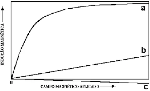 Figura 3.7: Ilustração esquemática da indução magnética para diferentes espécies  mineralógicas (a) ferromagnéticas, (b) paramagnéticas e (c) diamagnéticas, segundo 
