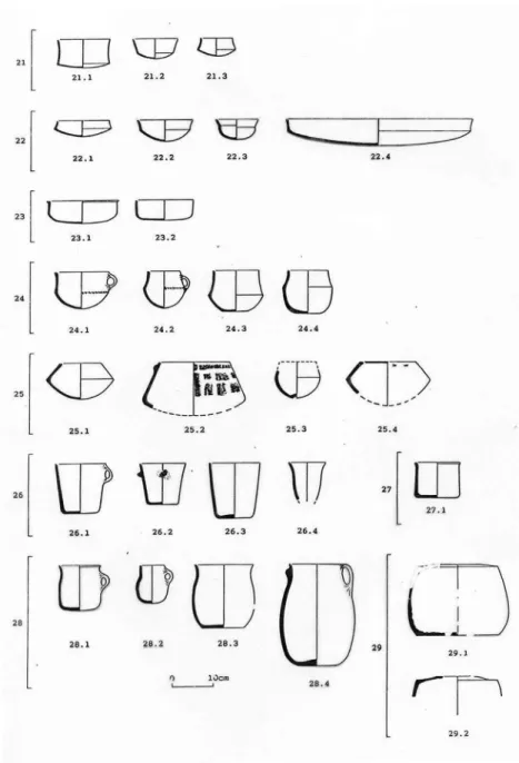 Fig. 2 – Beira Alta EBA/MBA pottery types (according to Senna-Martinez, Garcia and  Rosa, 1984).