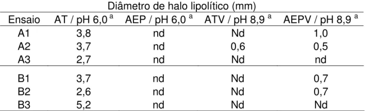 Tabela 10 – Atividade lipásica determinada pelo diâmetro de halo lipolítico (em pH 6,0 e  pH 8,9) das preparações originárias dos meios com extrato de levedura (A) e sem  extrato de levedura (B) 