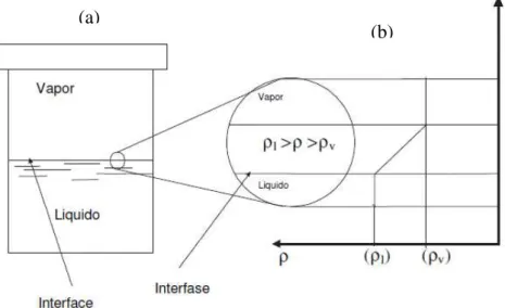 Figura 3. 2 - Modelos de interface e interfase (RABOCKAI, 1979). (a) 