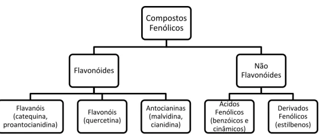 Figura 1 - Esquema representativo dos compostos fenólicos nos vinhos 