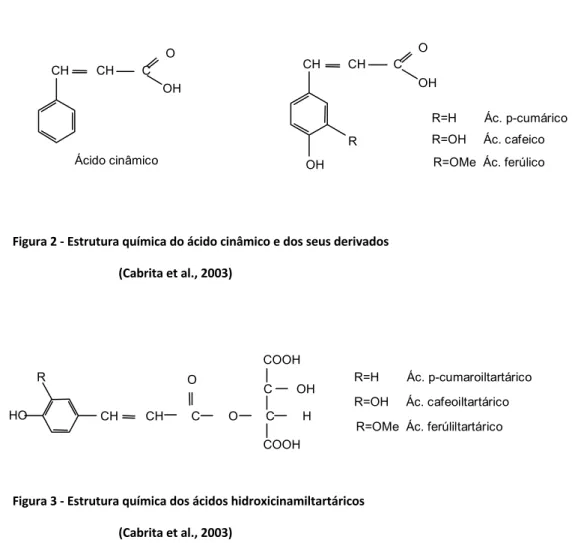 Figura 2 - Estrutura química do ácido cinâmico e dos seus derivados 