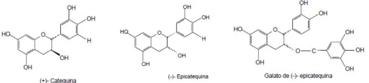 Figura 6 - Estruturas dos 3-flavanóis (Cabrita, 2004). 