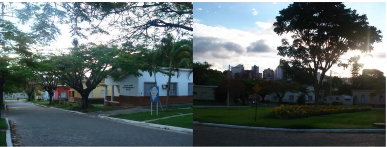 Figura 7 - Vila Gianetti, campus da UFV (2011) 
