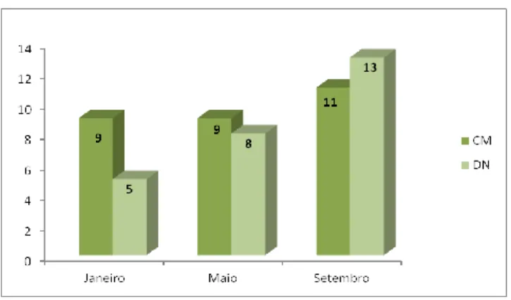 Gráfico nº 1 – Distribuição mensal das peças publicadas em 2007 