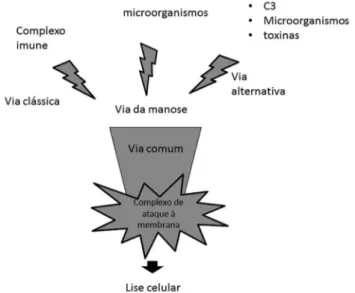 FIGURA 1 - O sistema do complemento