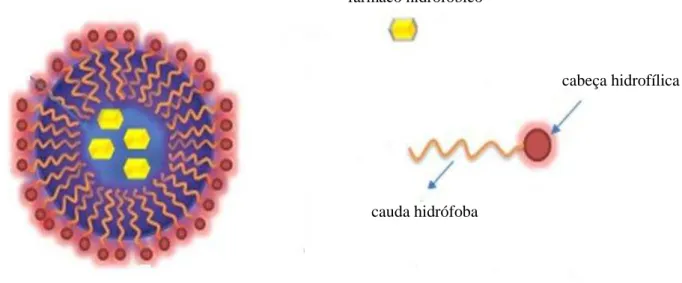 Figura 6: Ilustração de uma nanoemulsão (adaptado de Kendall, G. 2013). 