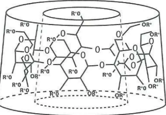 Figura 8 :  -ciclodextrina: (A) Estrutura química; (B) Estrutura cónica (adaptado de Martins, M