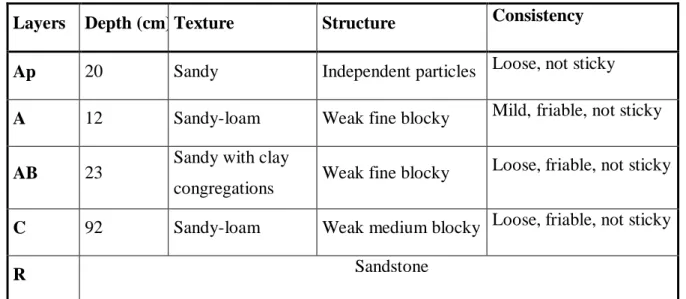 Table 2. Profile layers description of the soil in the study area. 