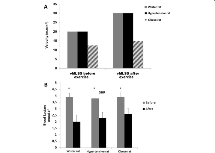 Figure 1 Training parameters. Comparison between exercise training velocity from MLSS (vMLSS) before and after four weeks of treadmill running exercise at moderate intensity, indicating that all animals from each group enhanced their aerobic capacity as de