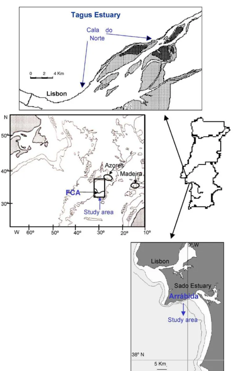 Fig. 1. Location of the three study areas: Tagus estuary, FCA and Arr´abida coast.