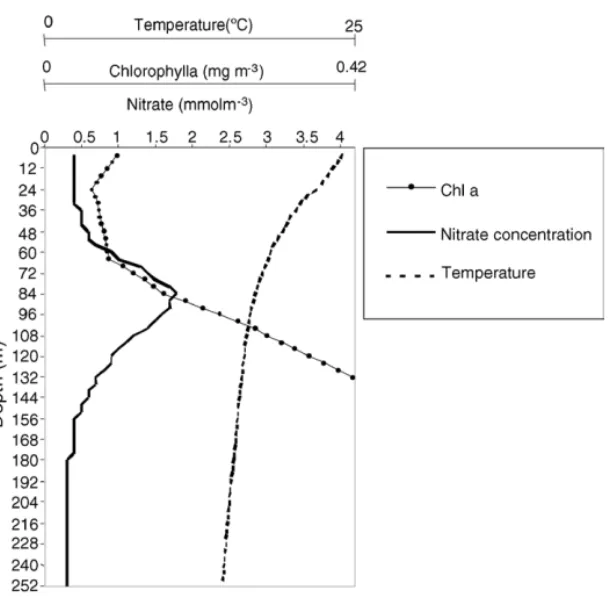 Fig. 2. Vertical profiles of the Oceanic model initial values: temperature (broken line), nitrate concentration (solid line with circles) and Chla concentration (solid line).