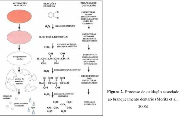 Figura 2- Processo de oxidação associado  ao branqueamento dentário (Moritz et al., 