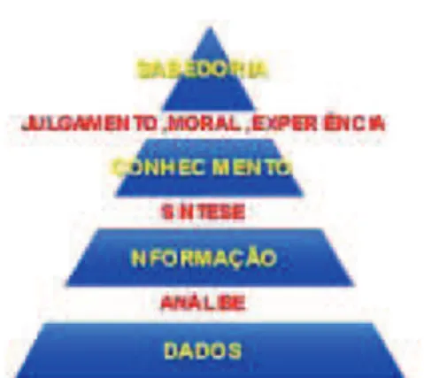 Ilustração 1 - Pirâmide da Informação 