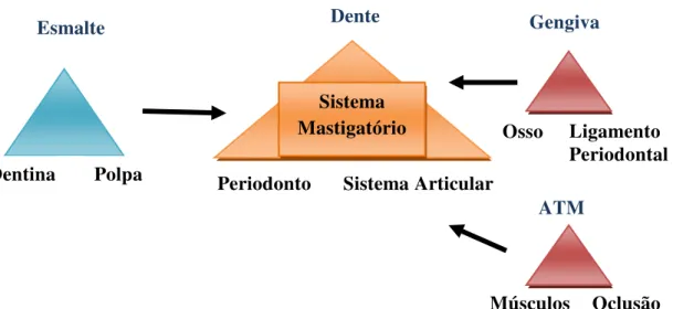 Figura 1 - Interação dos vários componentes do SG (Adaptado de Davies e Gray,  2001).                                                                                                                                                                           