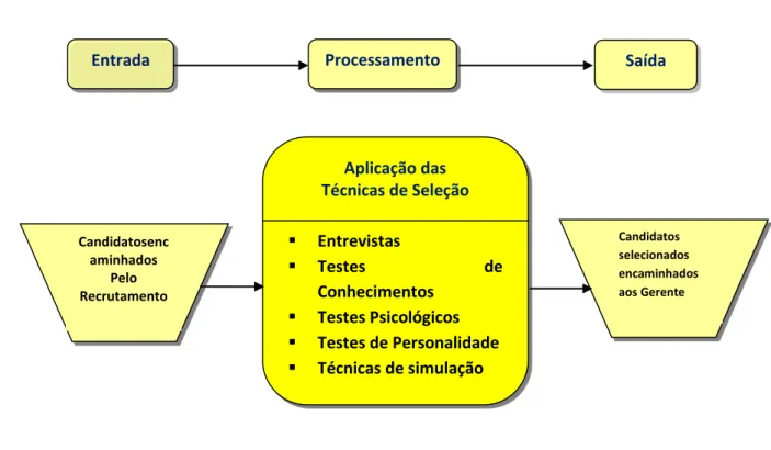 Figura 4- O processo de seleção 