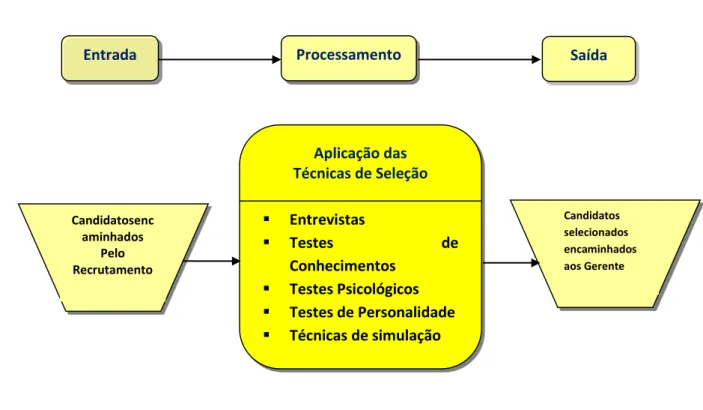Figura 4- O processo de seleção 