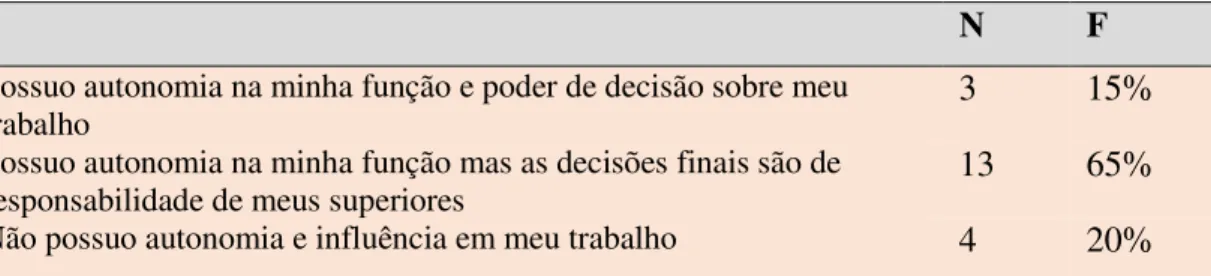 Tabela 8: Responsabilidades e poder de decisão na empresa 