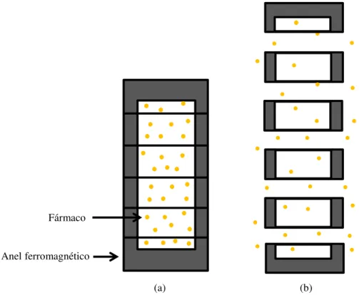 Figura 3 - Representação esquemática de uma cápsula de 6 anéis ferromagnéticos: (a) antes de ativação; (b) após ativação