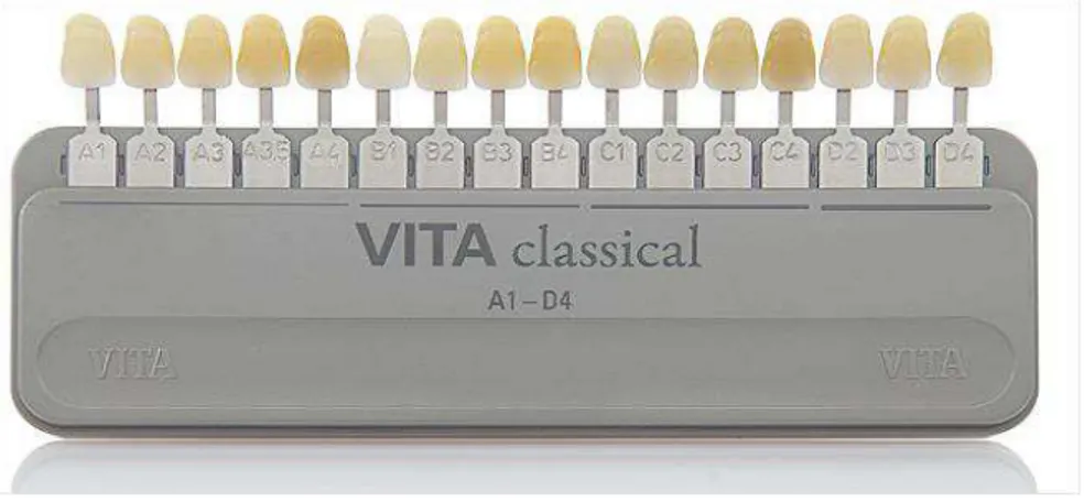 Figura 3 - VITA Classical escala de cores, ordenadas por matizes e croma. Da esquerda a direita: A1,  A2, A3, A3.5, A4, B1, B2, B3, B4, C1, C2, C3, C4, D1, D2, D3, D4