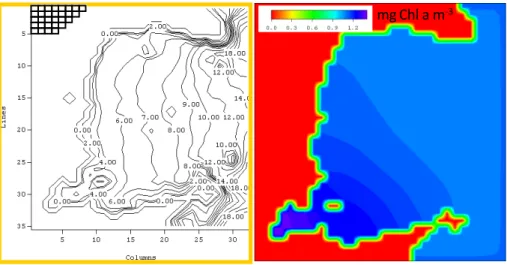 Figura 1-6 - Exemplo de um modelo 2D. O painel da esquerda mostra um mapa da baía de Sungo na  República Popular da China com algumas linhas batimétricas e parte da malha utilizada para  representar espacialmente o ecossistema (no canto superior esquerdo)