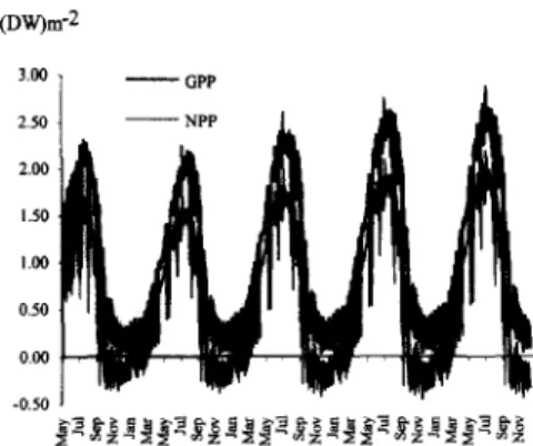 Fig. 12.  Standard simulation. Gross and  net  daily primary  productivity (GPP and  NPP, respectively) predicted by  the  model
