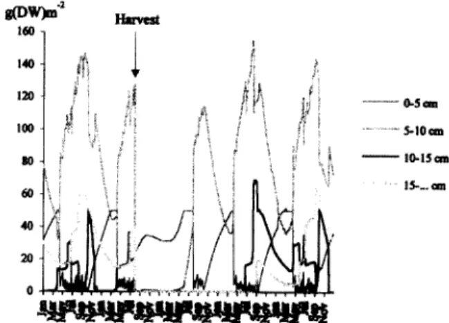 Fig.  14.  Biomass  density  variation  of  the  four  classes  consid-  ered  predicted  by  the  model,  before  and  after  cutting  the  population  to  a  height  of  3  cm  at  the  end  of  July