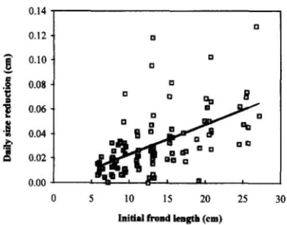 Fig. 3.  Size reduction vs.  initial frond length. The regression  line (y = 0.0024.x) is  significant as  tested by  ANOVA (P < 