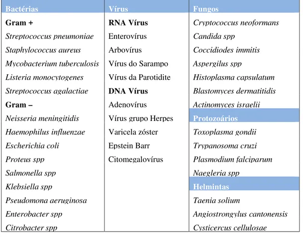 Tabela 2 – Principais agentes etiológicos das meningites (Fonte: Aminoff et al., 2005; Leão, 1997).