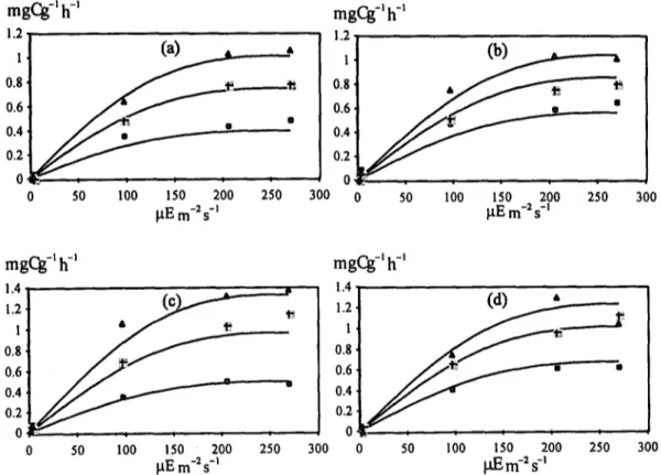 Fig.  2  shows  the  general  shape  of  the  gross  primary  productivity  curves  obtained  by  fitting  the  model  to  the  experimental  data