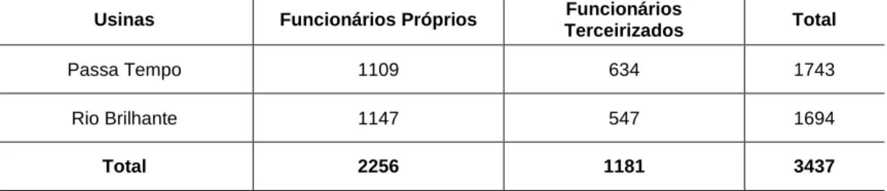 Tabela 2.5 – Número de funcionários nas usinas Passa Tempo e Rio Brilhante em 2011