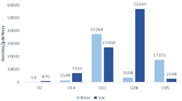 Gráfico  2  –  Variação  do  número  de  oocistos  consoante  a  idade  em  função  da  medida  de  controlo  (NVAC: bandos não vacinados; VAC: bandos vacinados).