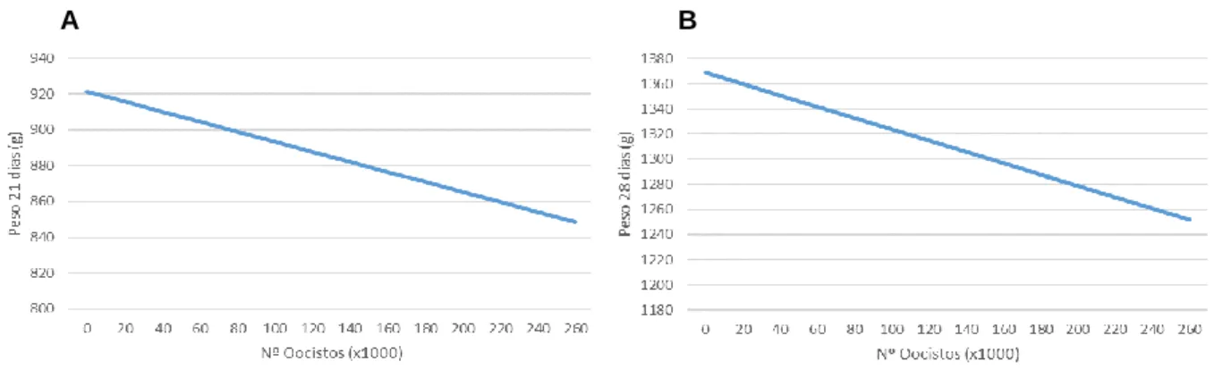 Gráfico 3 - Coeficiente de regressão dos pesos aos 21 (A) e 28 dias (B) no número de oocistos