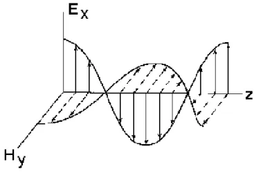 Fig. 2.4. Comportamento espacial dos campos elétrico e magnético, numa onda polarizada linearmente