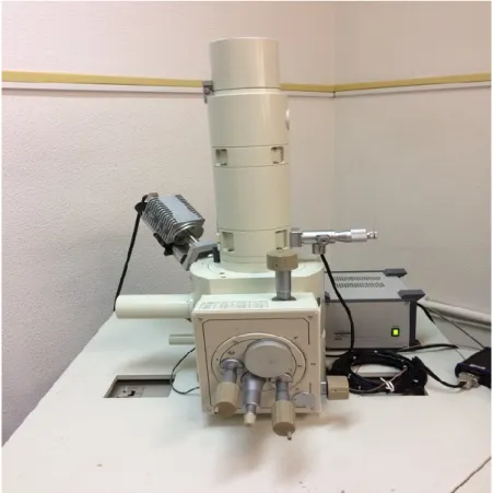 Figura 13 - MEV no Centro de Microscopia  Eletrónica e Histopatologia Egas Moniz. 