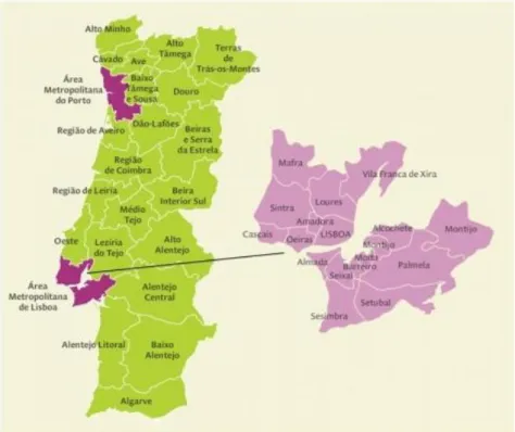 Figura 8 - Área metropolitana de Lisboa (NUTS III).  