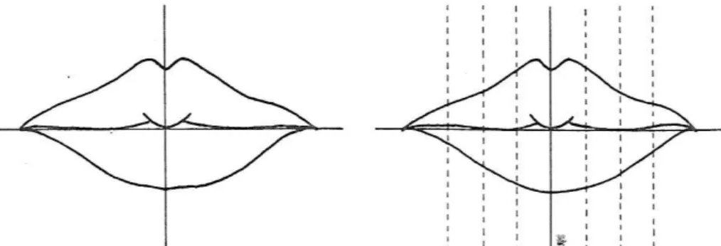 Figura 5 - Esquema de Suzuki e Tsuchihashi (Fonte: Pueyo, 1994).
