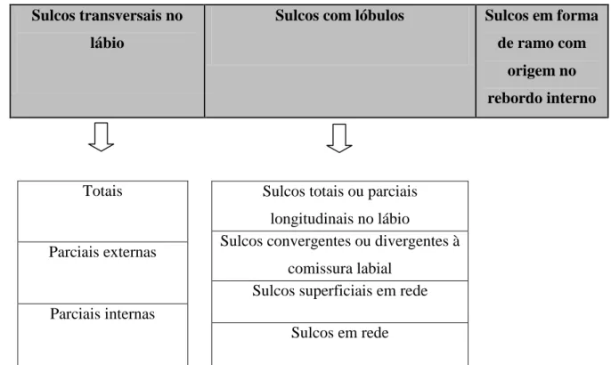 Tabela 8 - Classificação de Oviedo e Meira (Adaptado de Pereira, 2012). 