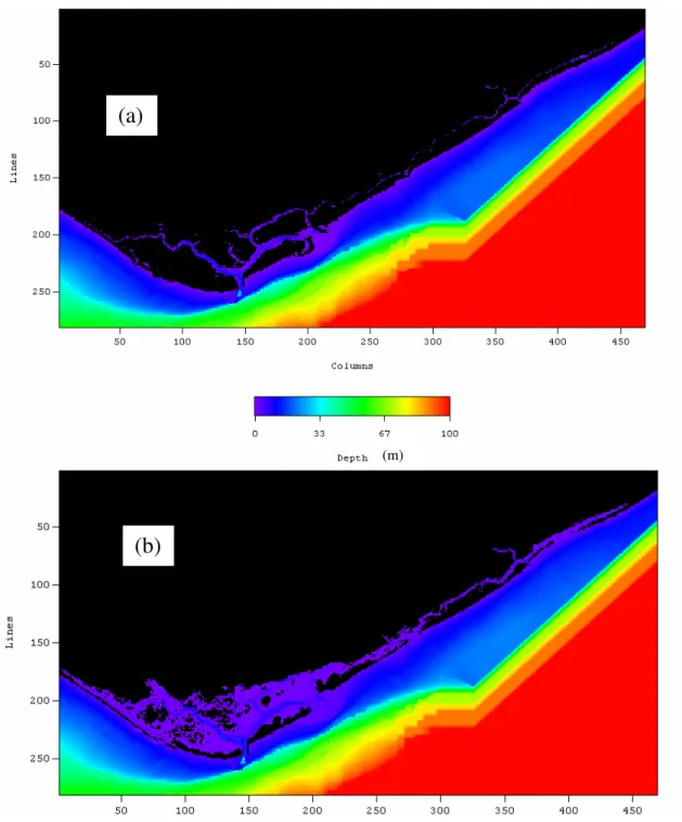 Fig. 2-2  – Model bathymetry (282 lines X 470 columns, each with 100 X 100 m),  reported to the hydrographic zero (a) and during a flood (b) (tide level = 2.6 m)
