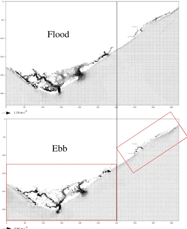 Fig. 3-11 – General circulation patterns during the flood and during the ebb. The  vertical line separates the Western Ria from the Eastern Ria and the two rectangles  represent the possible two sub-domains that can be considered in future simulations  