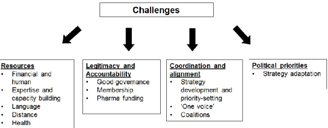Figure 6. Summary of challenges identified through the qualitative data analysis 