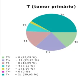 FIGURA 6 - Estadiamento histopatológico da peça cirúrgica –  tumor primário