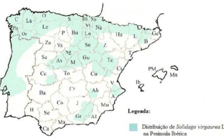 Figura 10. Distribuição de Solidago virgaurea na Península Ibérica (adaptado de  Centeno, 2003) 