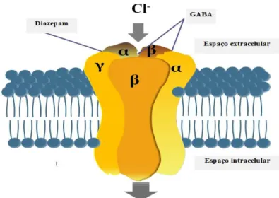 Figura  3.  Representação  esquemática  do  mecanismo  de  ação  do  diazepam:  modelo  interação  de  benzodiazepínicos/receptor  GABA