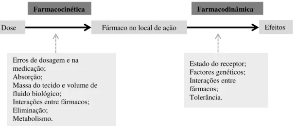 Figura 6. Relação da farmacocinética e farmacodinâmica e os factores que afectam cada uma das etapas  da obtenção do efeito farmacoterapêutico