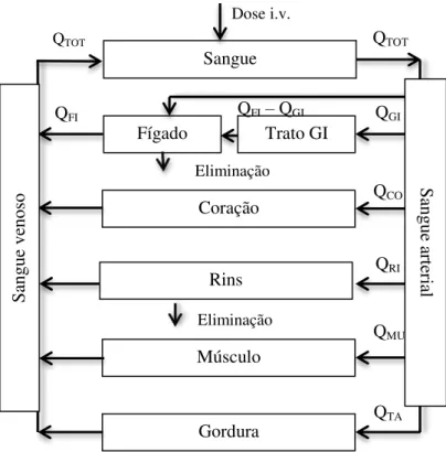 Figura 12. Exemplo de modelo farmacocinético de base fisiológica. Onde Q TOT , Q GI , Q FI , Q CO , Q RI , Q MU ,  Q TA   representam  o  fluxo  sanguíneo  nos  compartimentos  sangue  venoso,  gastrointestinal,  hepático,  coração, rim músculo e tecido ad