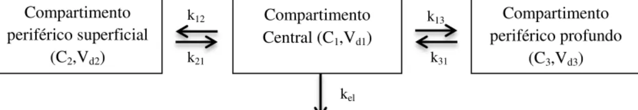 Figura  13.  Modelo  tricompartimental  aberto  proposto  por  Kaplan  et  al.  no  qual  constantes  k 12 ,  k 13