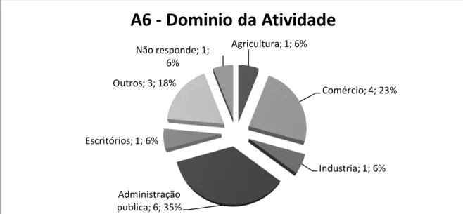 Fig. 7  –  Domínio da atividade 